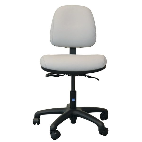 Pedigo Ergo Task Chair, Columbia Blue, PVC-Free Upholstery. w/out Arms, 25" Base. T-581-CLB